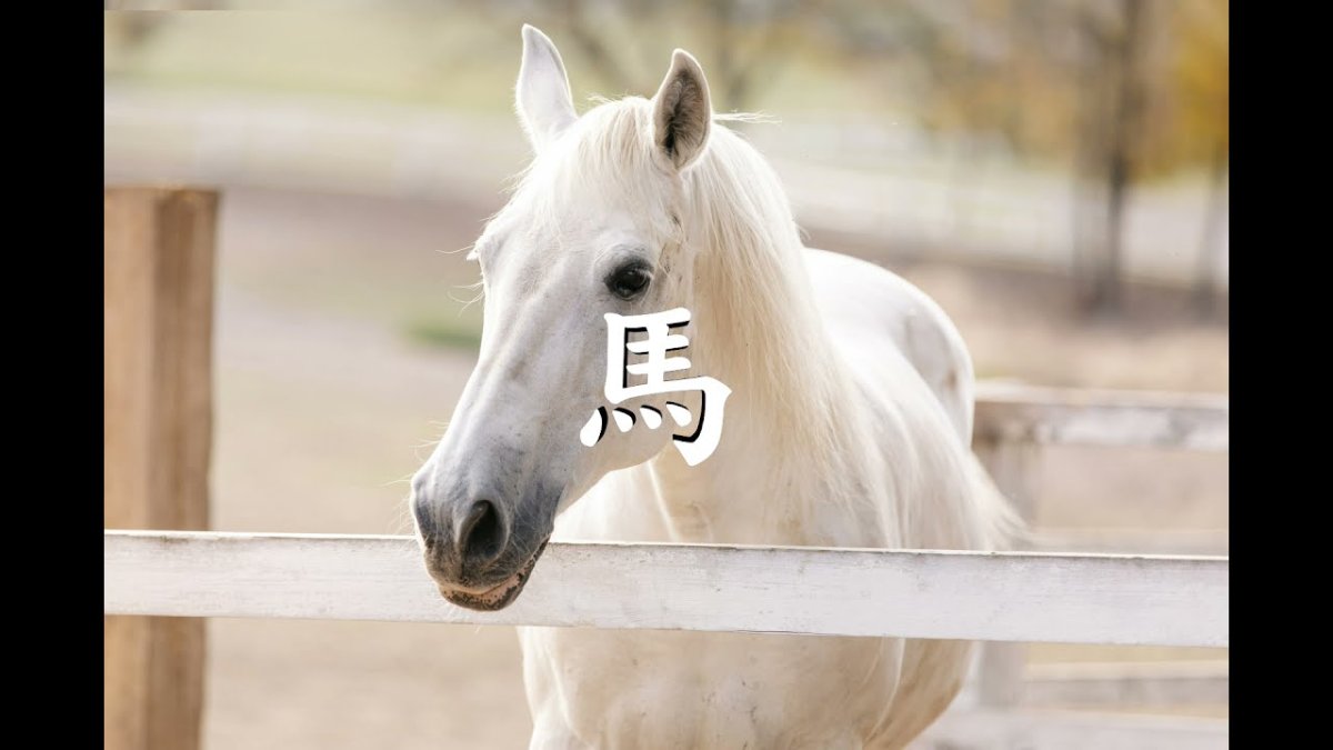 Липицианская порода