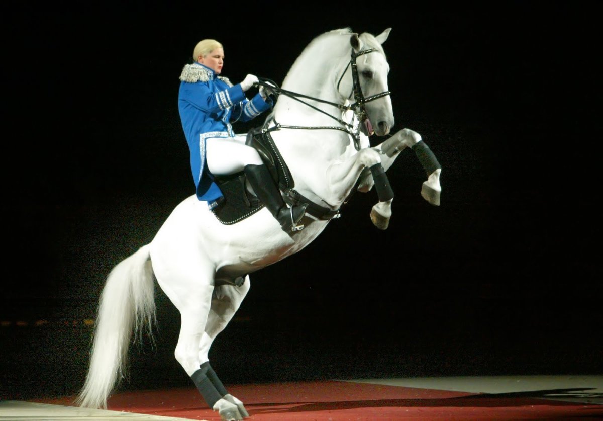 Эталон лошади