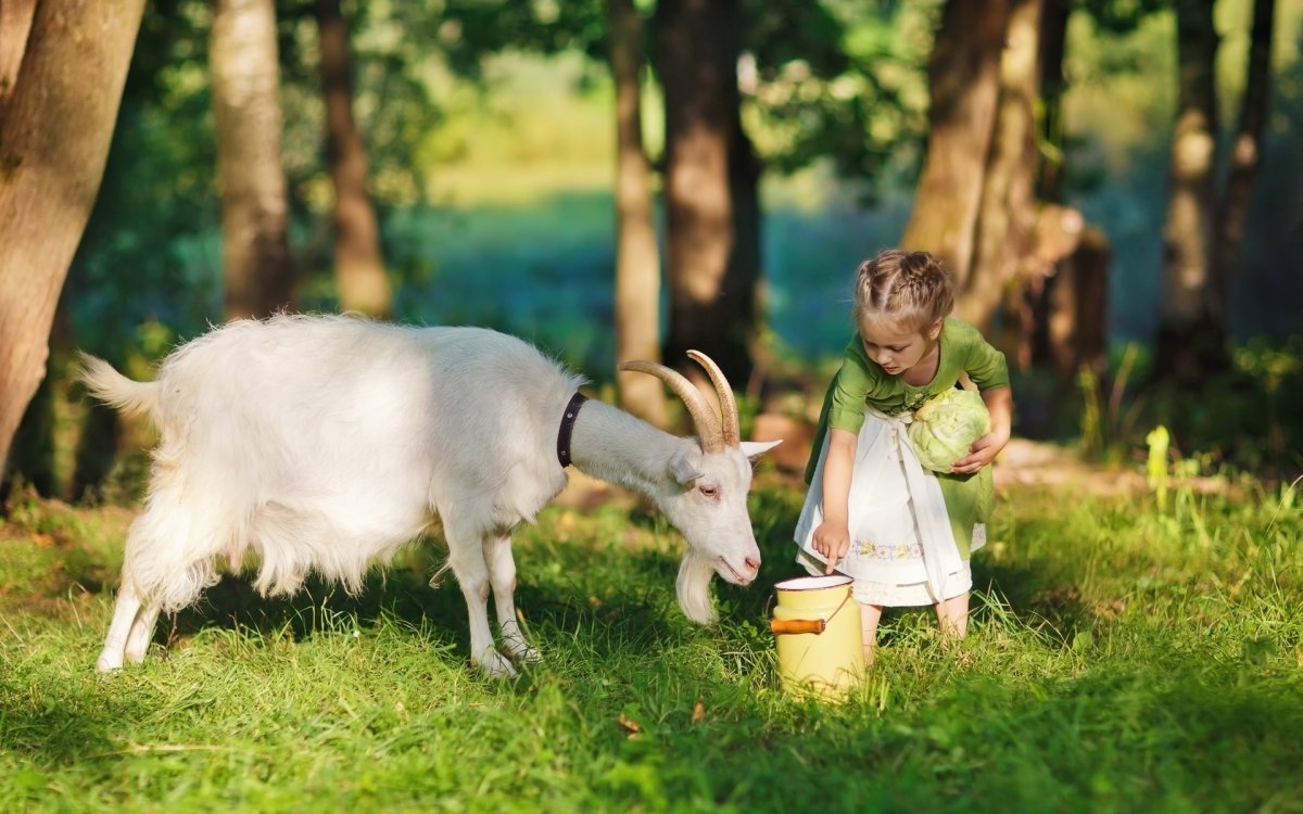 Фотосессия с козленком на природе