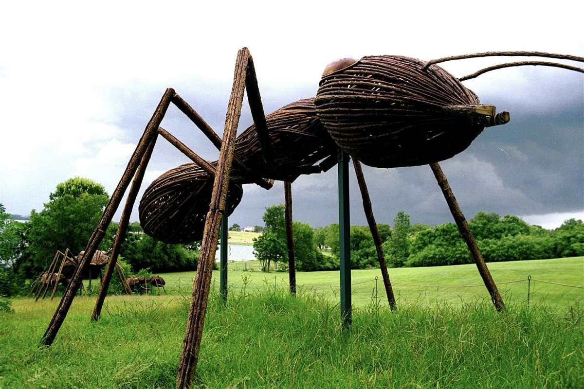 Бронтоскорпио Англикус