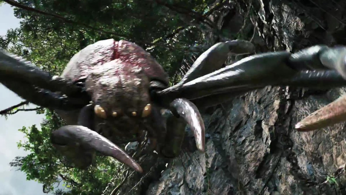 Самый большой паук в Австралии