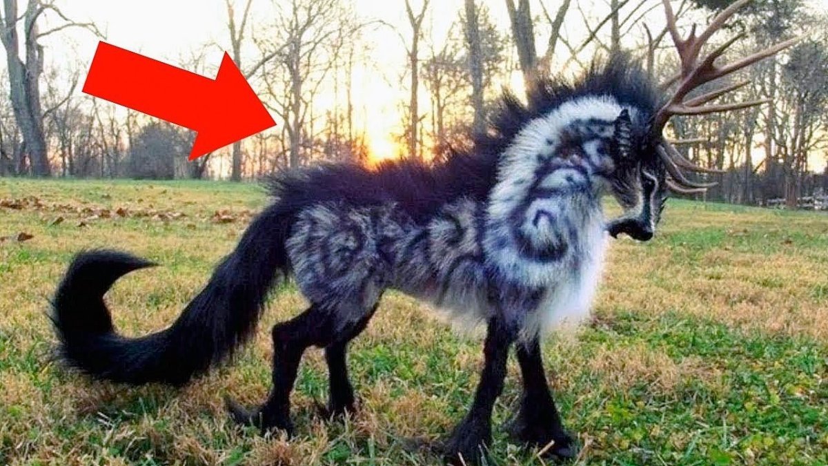 Вымышленные животные