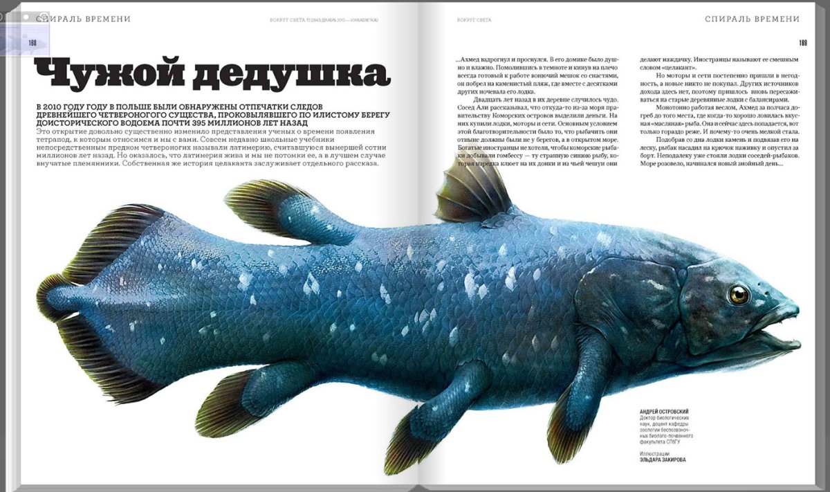 Целакант Латимерия