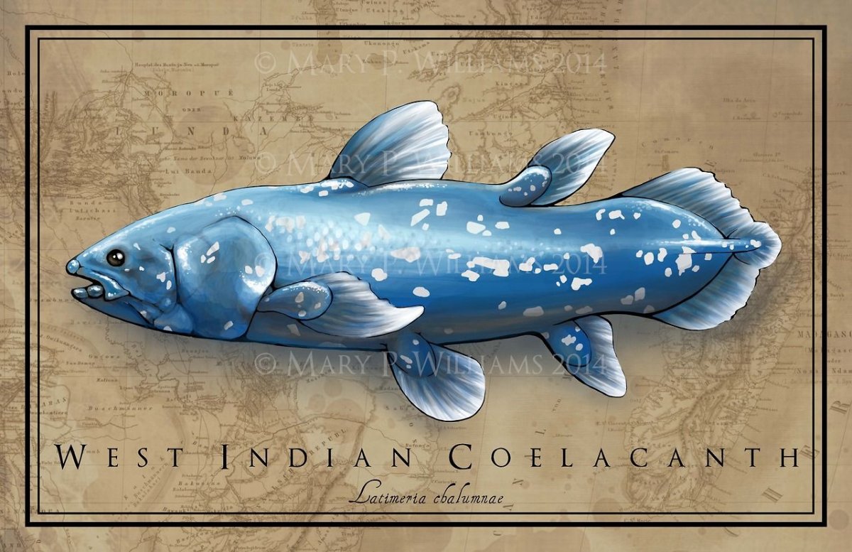 Аквагрим рисунок голубая рыбка Латимерия