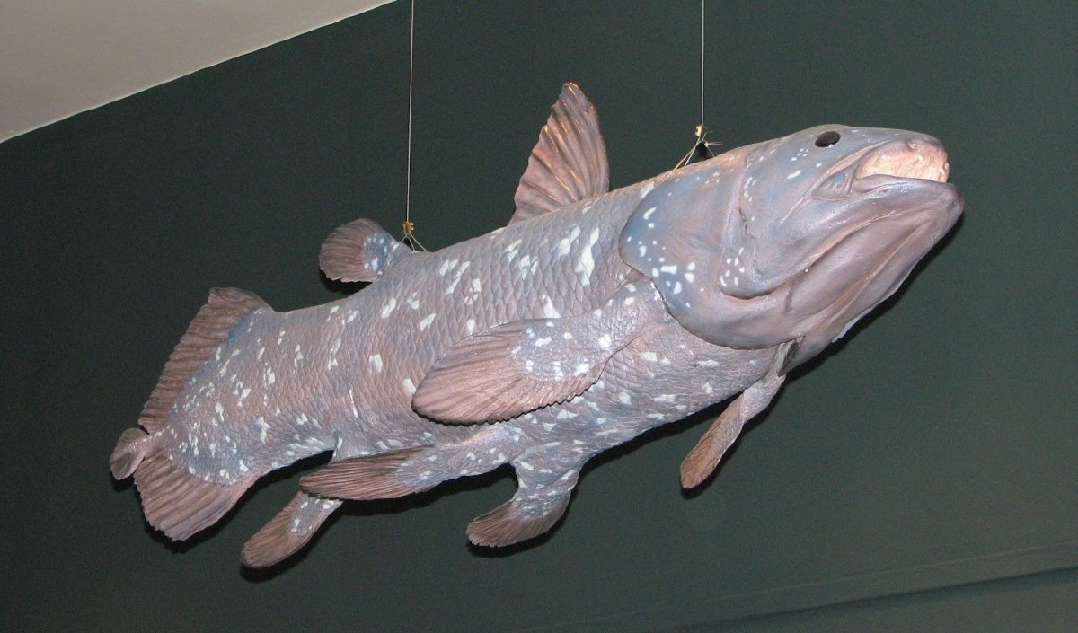 Мозазавр Бест оф Бермуда