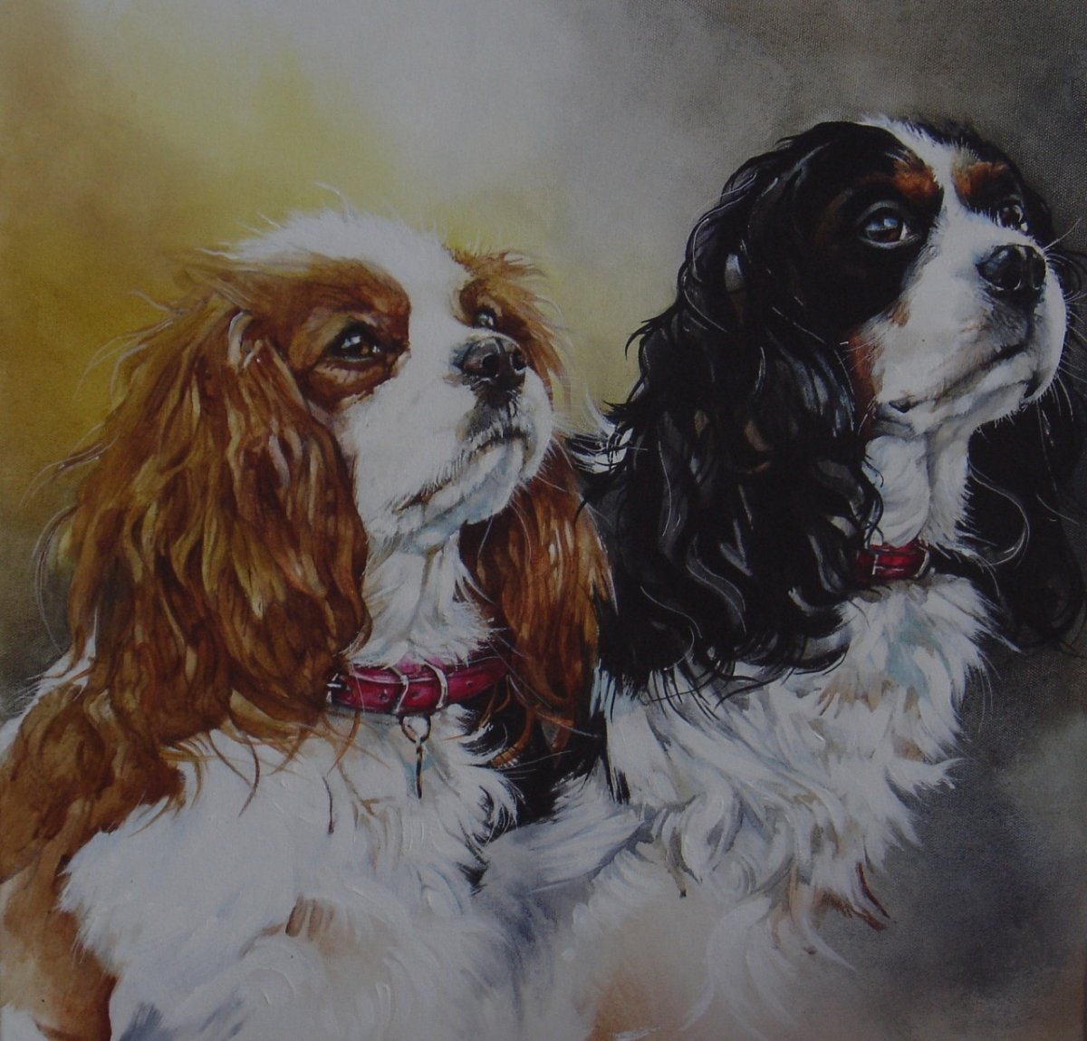 Кавалер Кинг Чарльз спаниель маленький