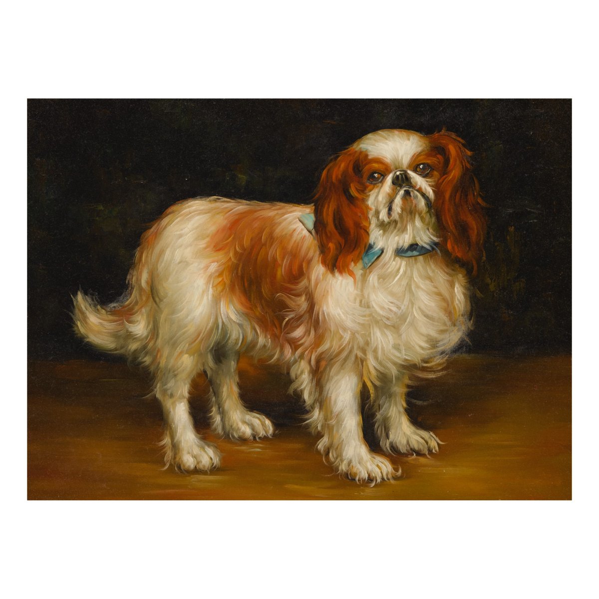 Шапочка для кавалер Кинг Чарльз спаниеля