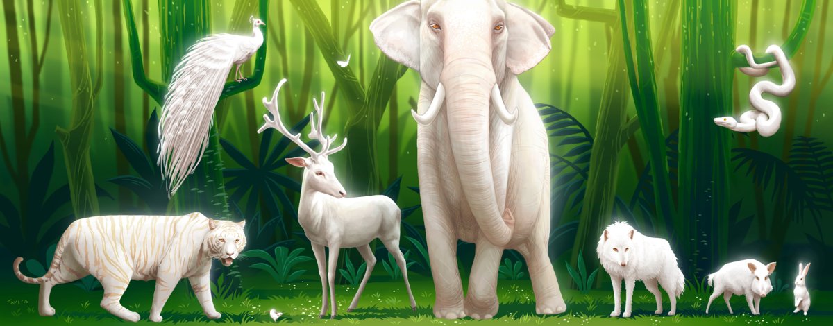 Слон альбинос