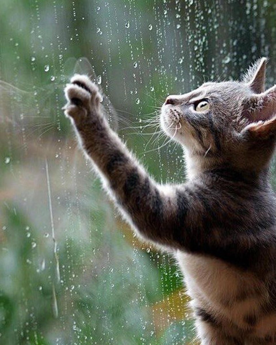 Дождь это хорошо