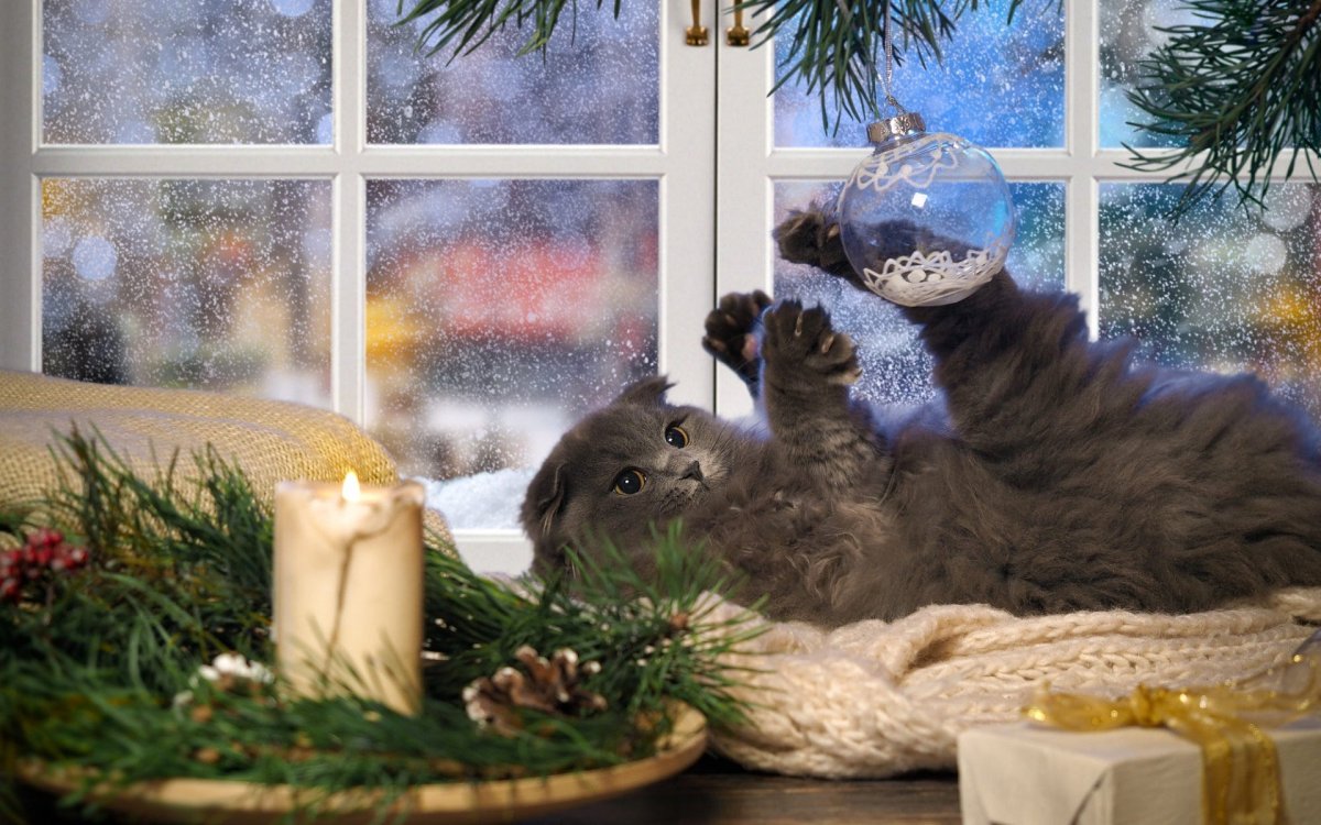 Уютная зима