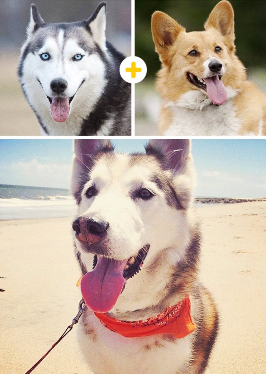 Смешанные породы