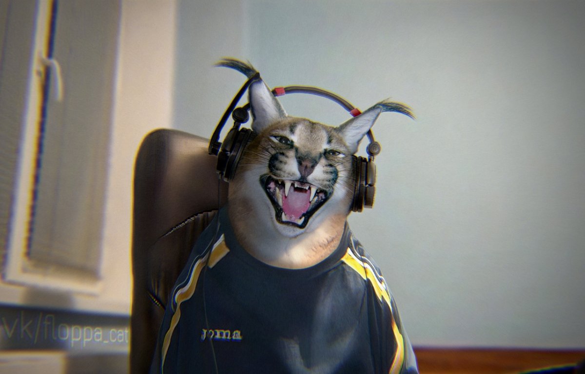 Каракал кот Шлеппа