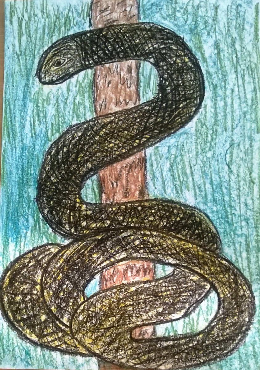 Змеи Крыма бычкоглот