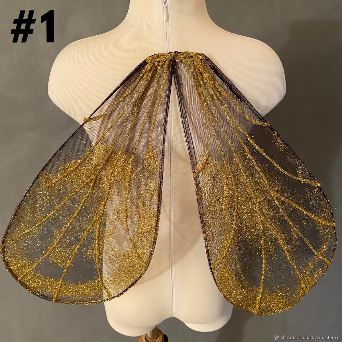 Муха Goniurellia Tridens