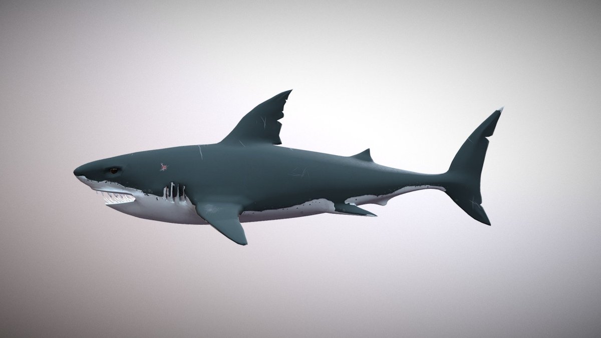 Акула 3d модель