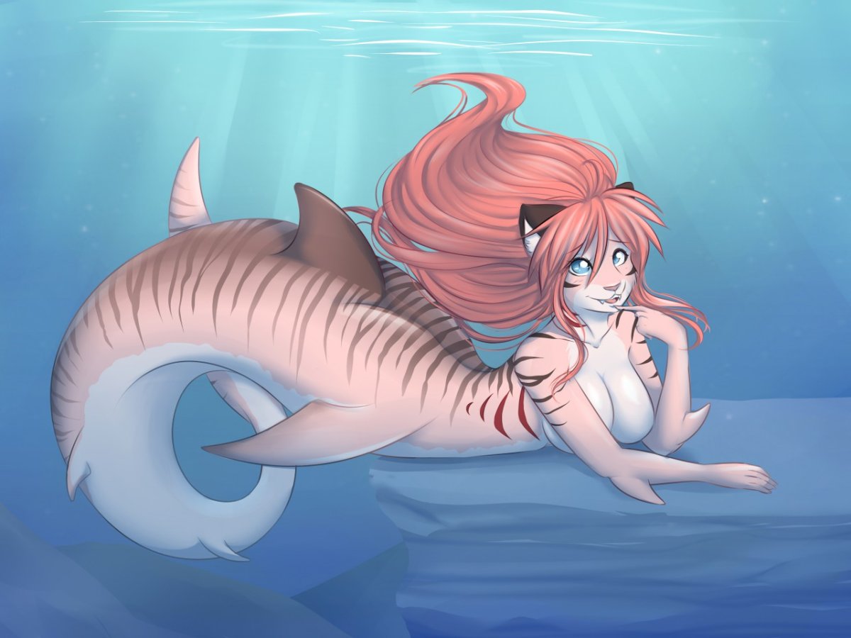 Фурри акула Русалка