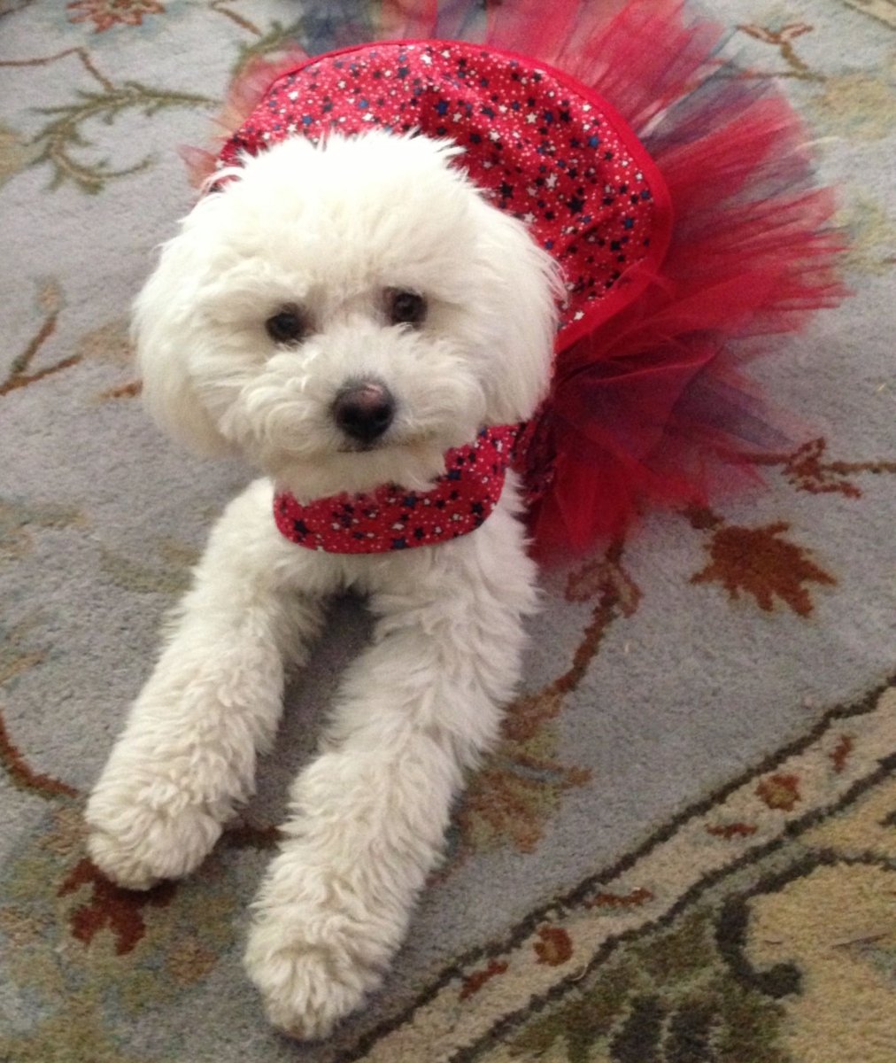 Silver мальтипу