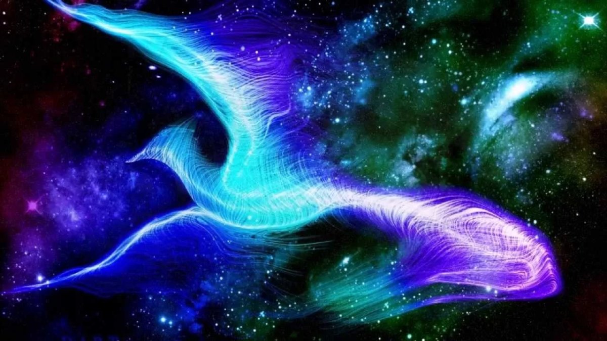 Космическая птица