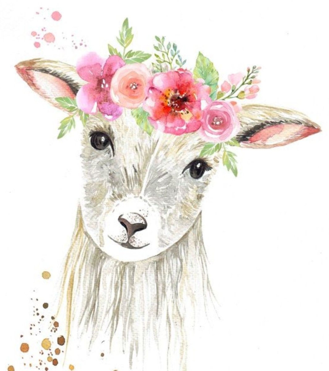 Козочка акварель