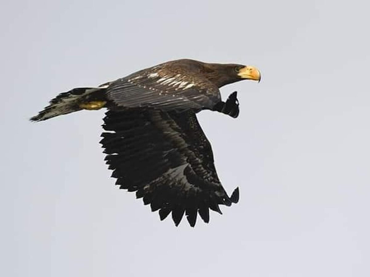 Беркут д. "под солнцем Азии"