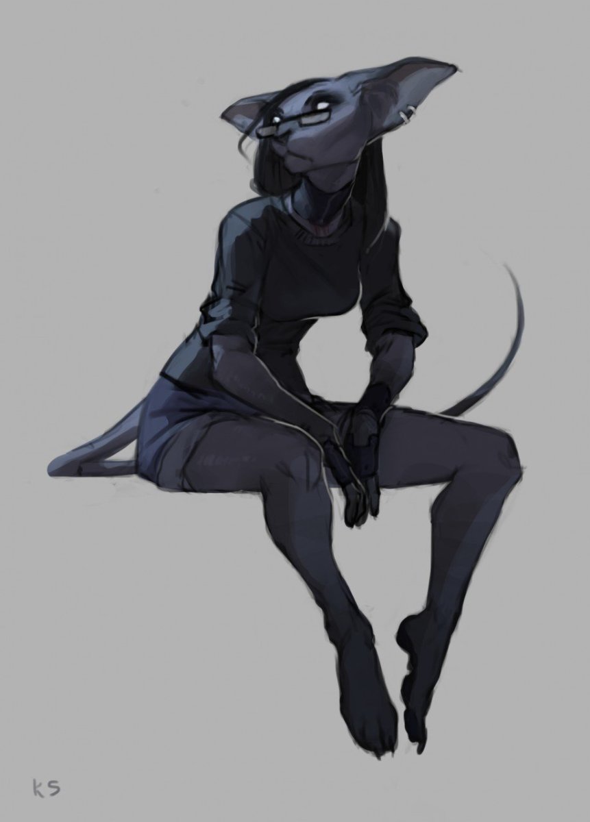 Египетская Ориентальная кошка