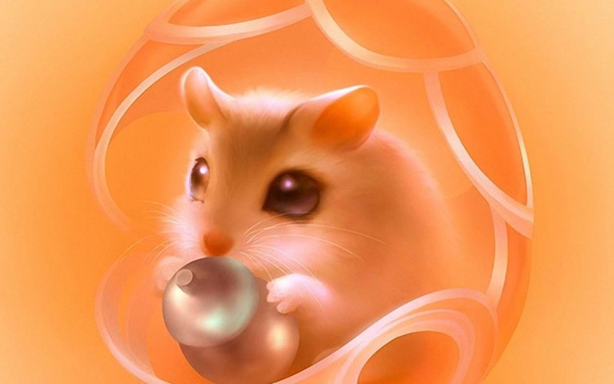 Милые мышки