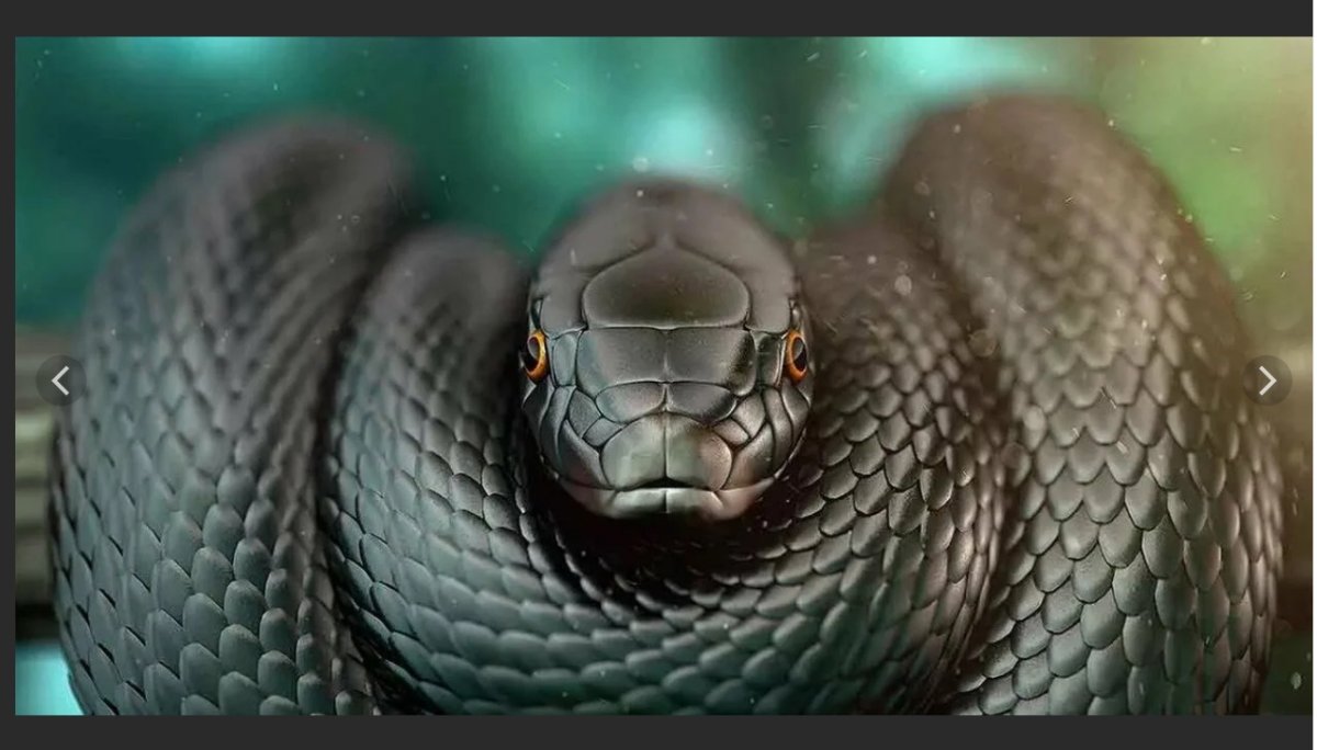 Змея очковая Кобра