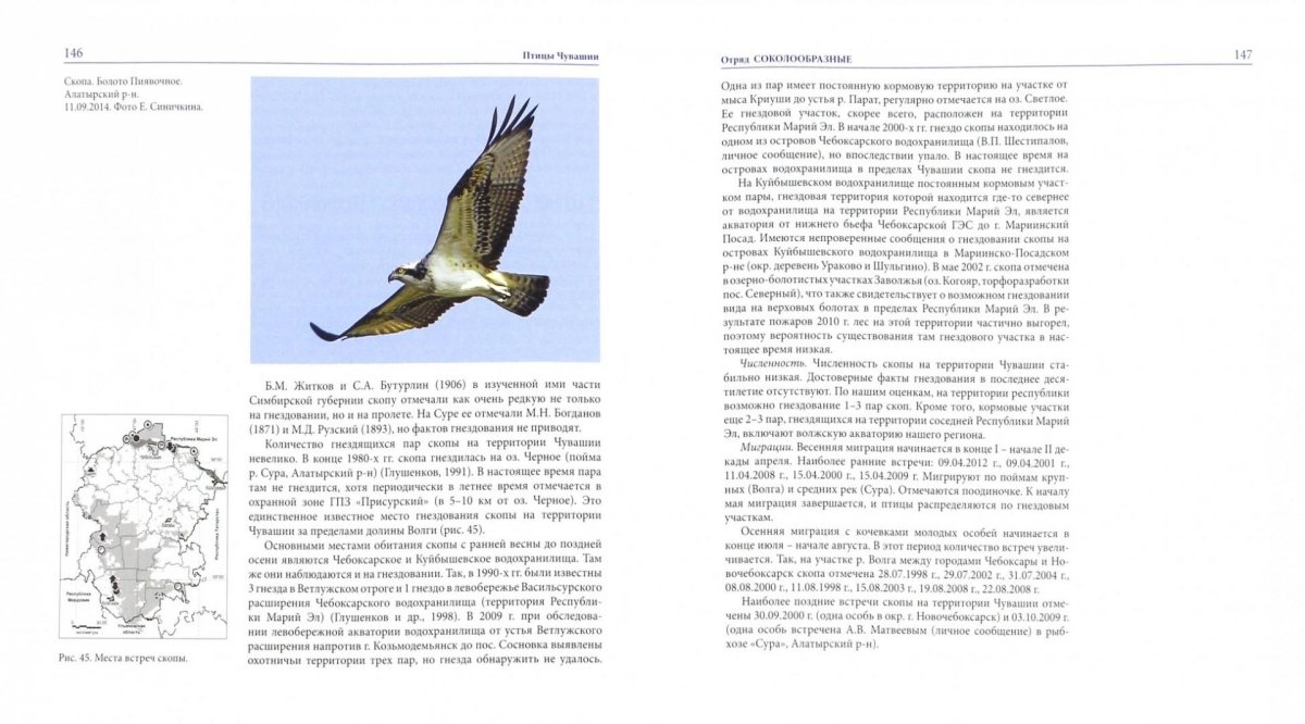 Птицы Чувашии книга