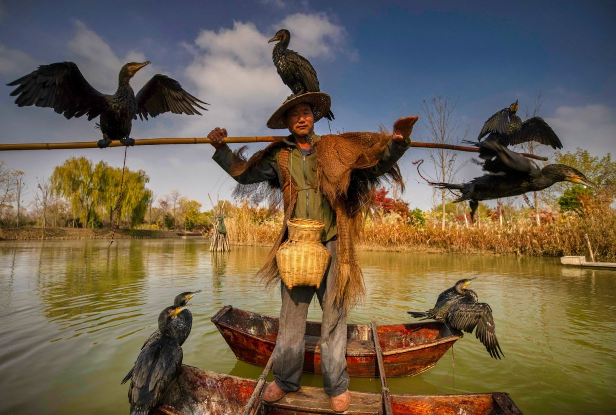 Беркут Скопа