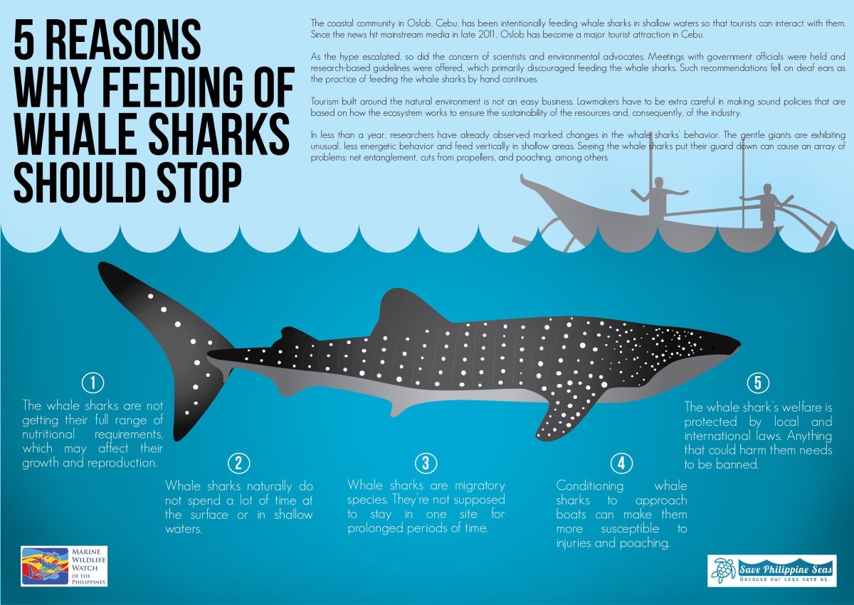 Акулы 3 МЕГАЛОДОН фильм