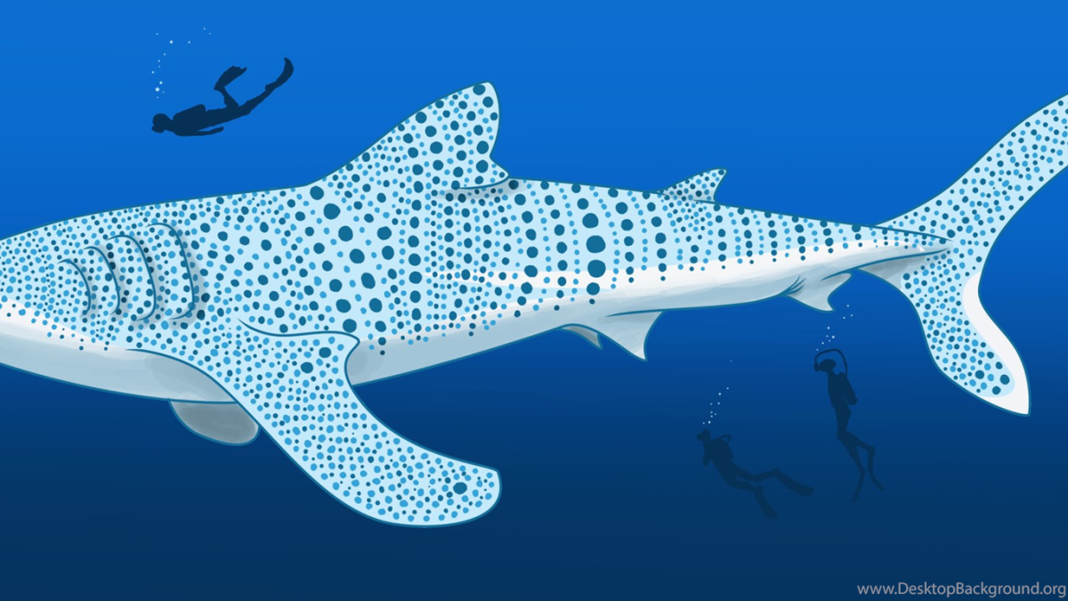 Акула МЕГАЛОДОН против кита