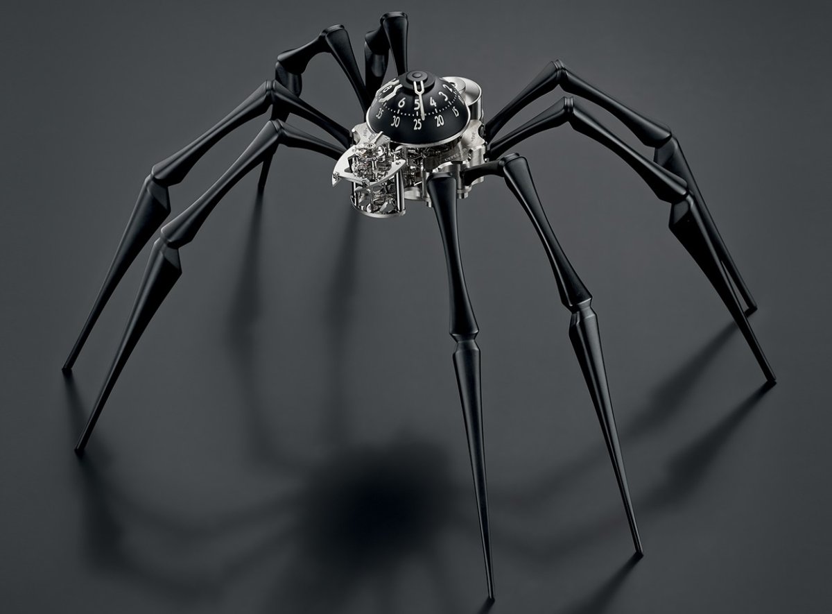 Паук скакунчик