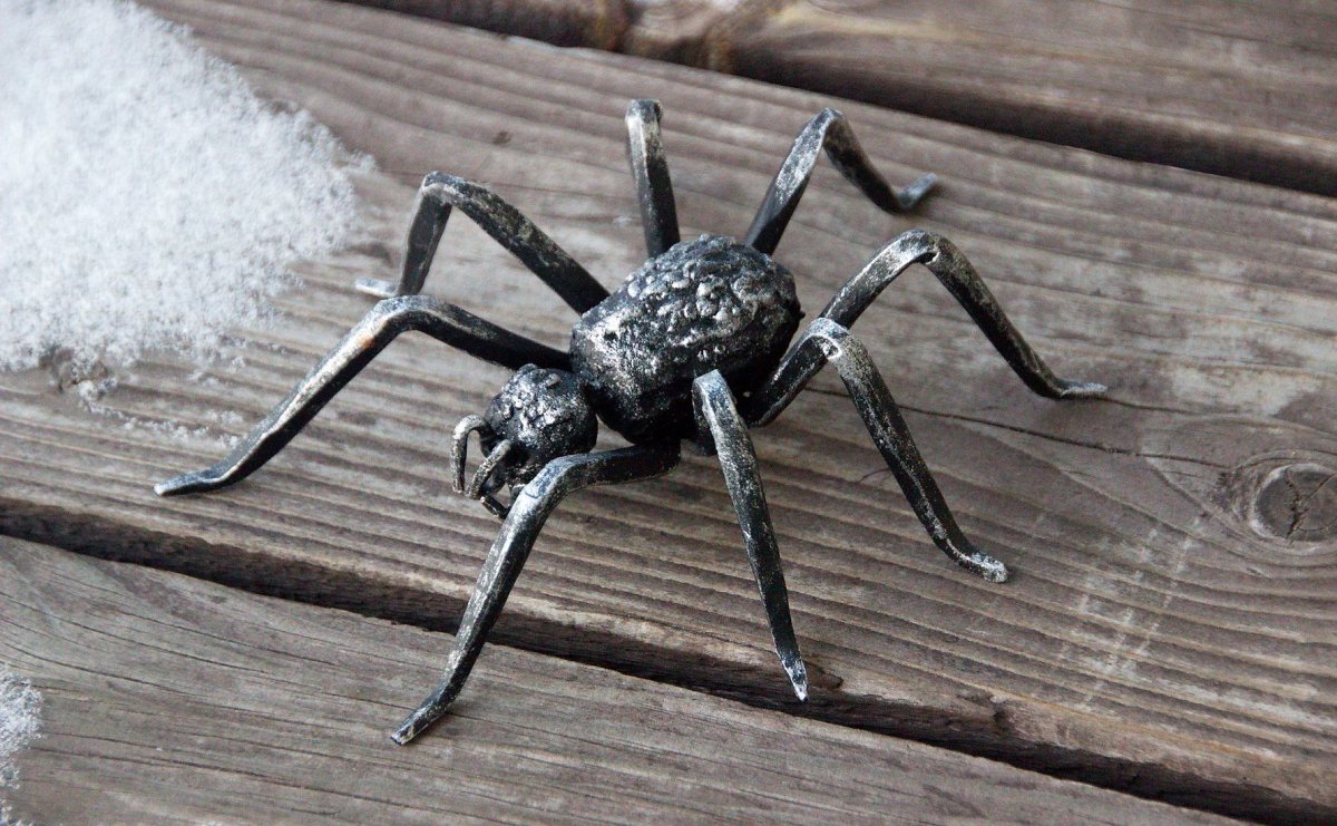 Паучки часики