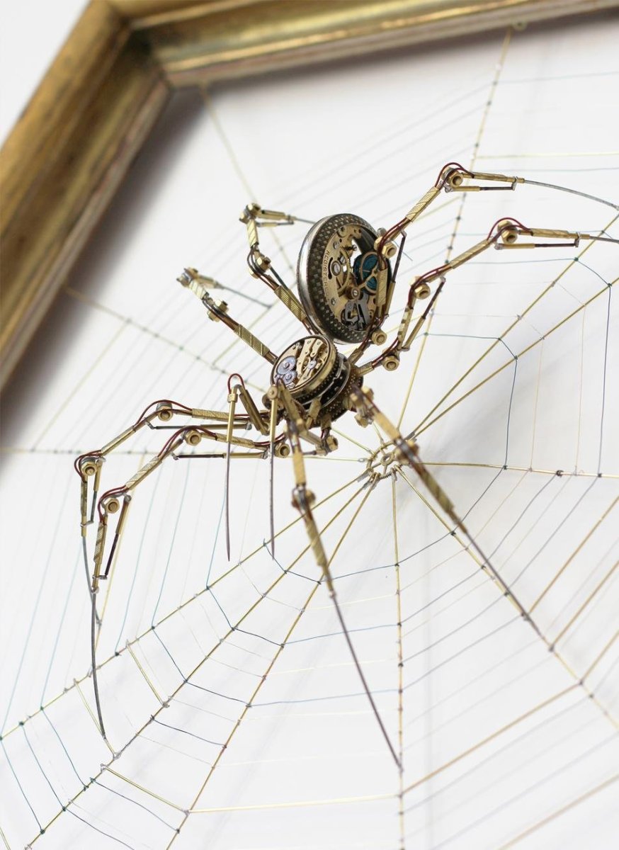 Эрезус бархатный