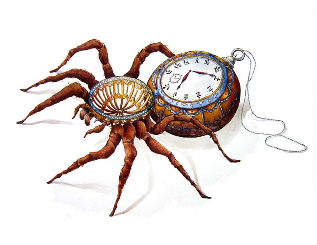 Паук часики