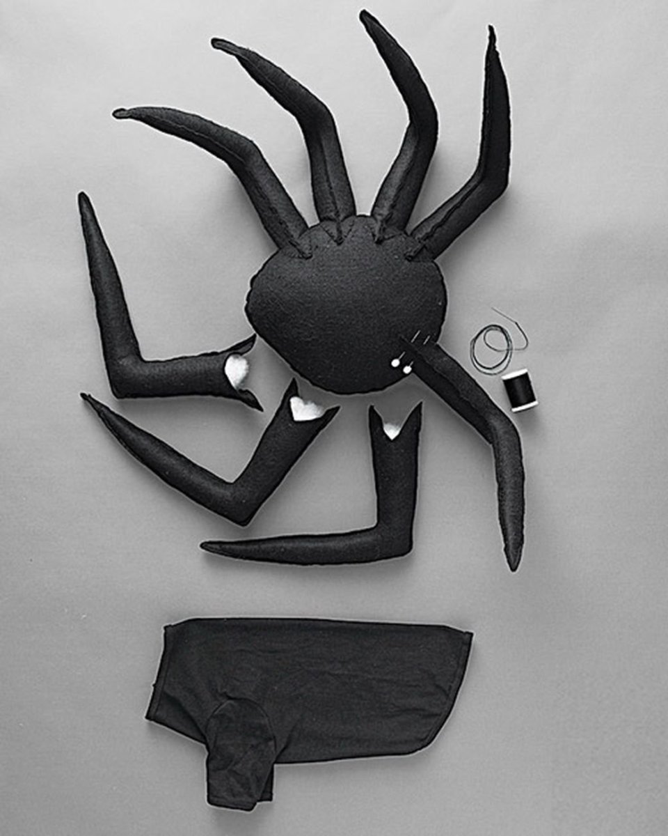 Паукообразные скакунчик