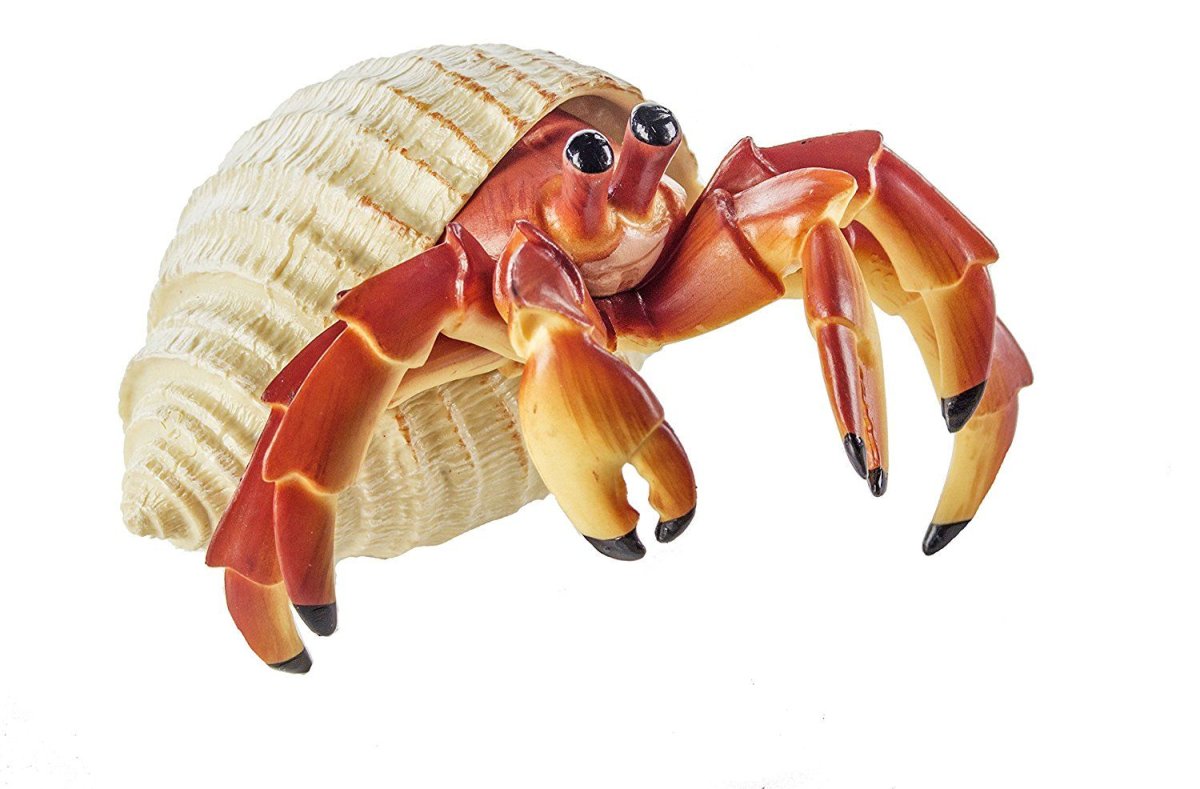 Милые Крабы