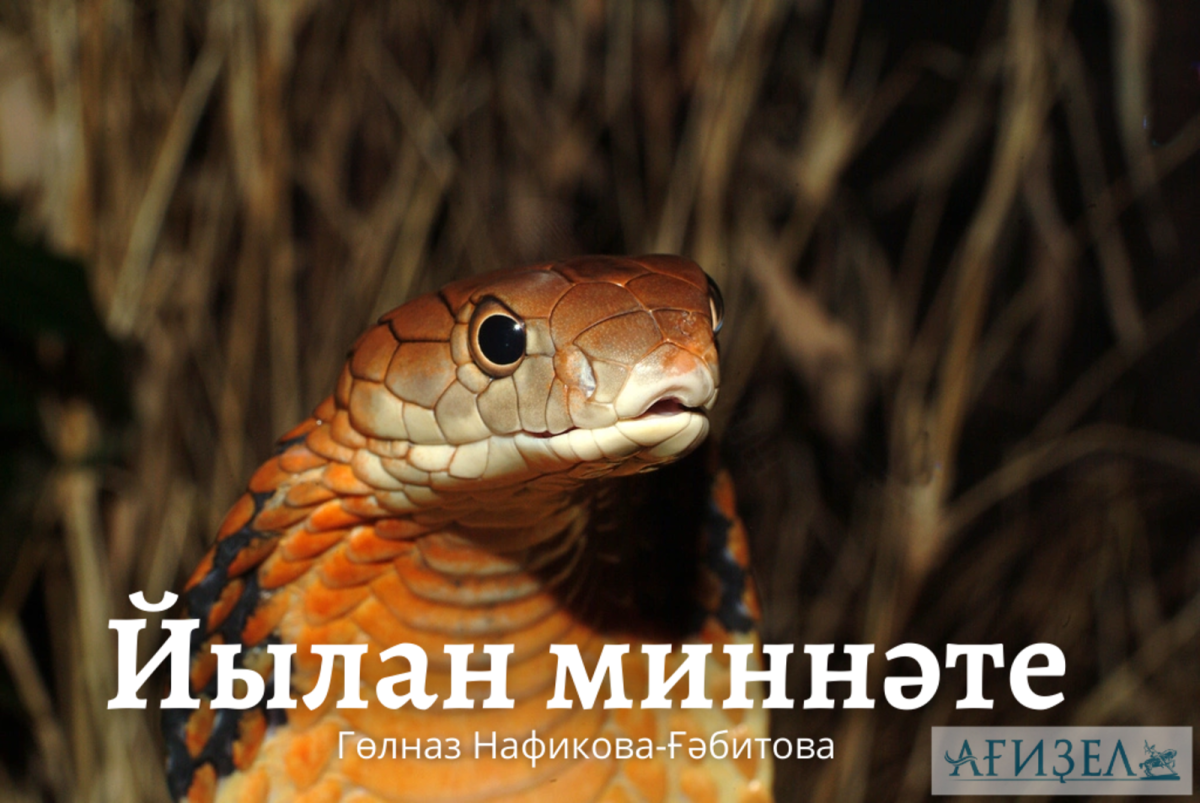 Змея Кобра Королевская