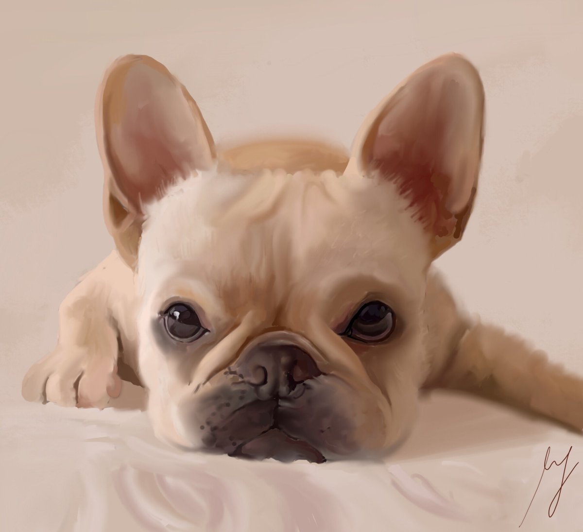 Грустный французский бульдог