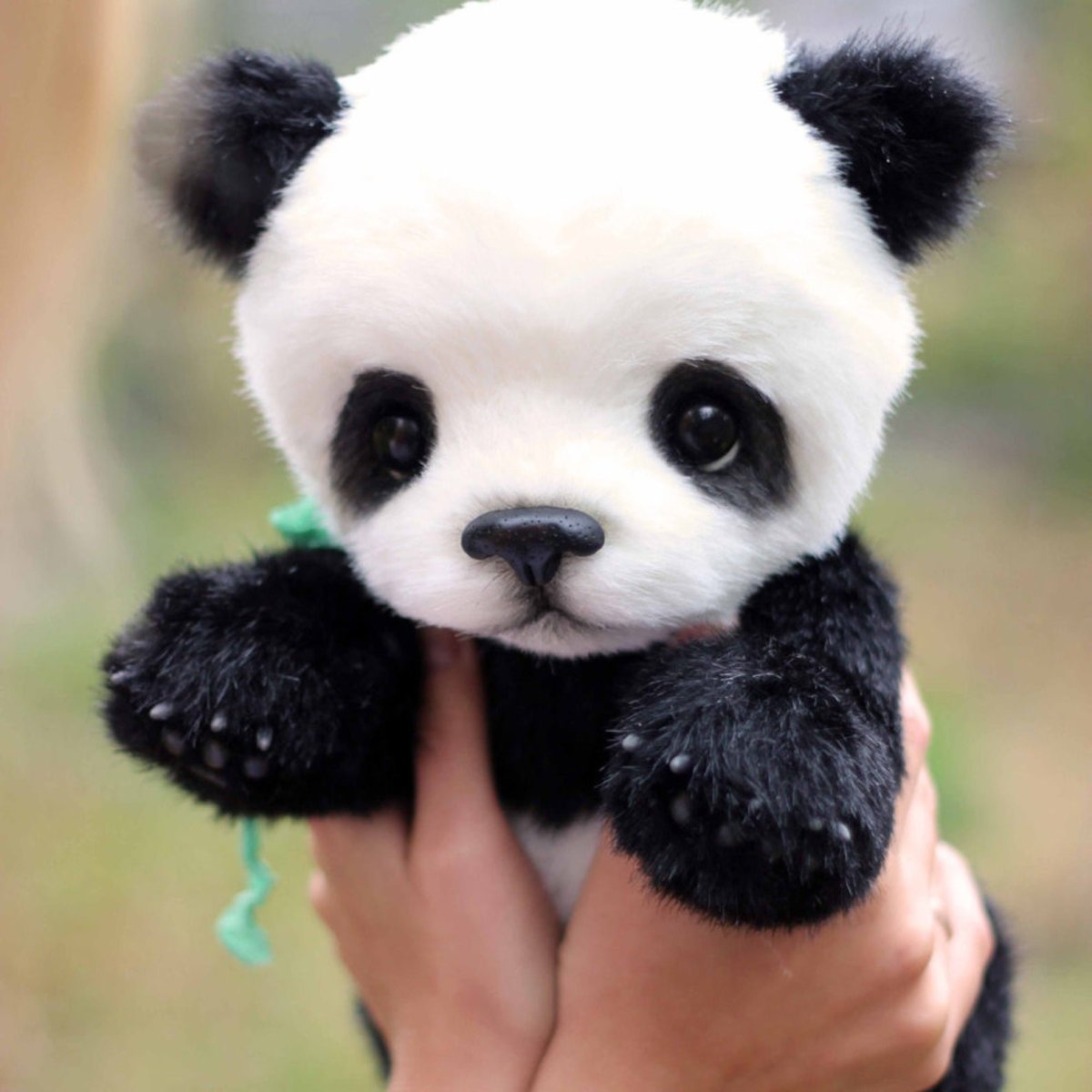 Спокойной ночи Пандочка