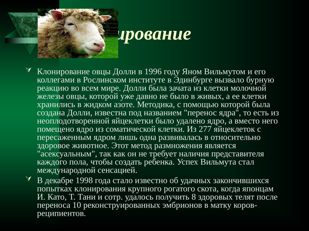 Схема генетического клонирования овцы Долли