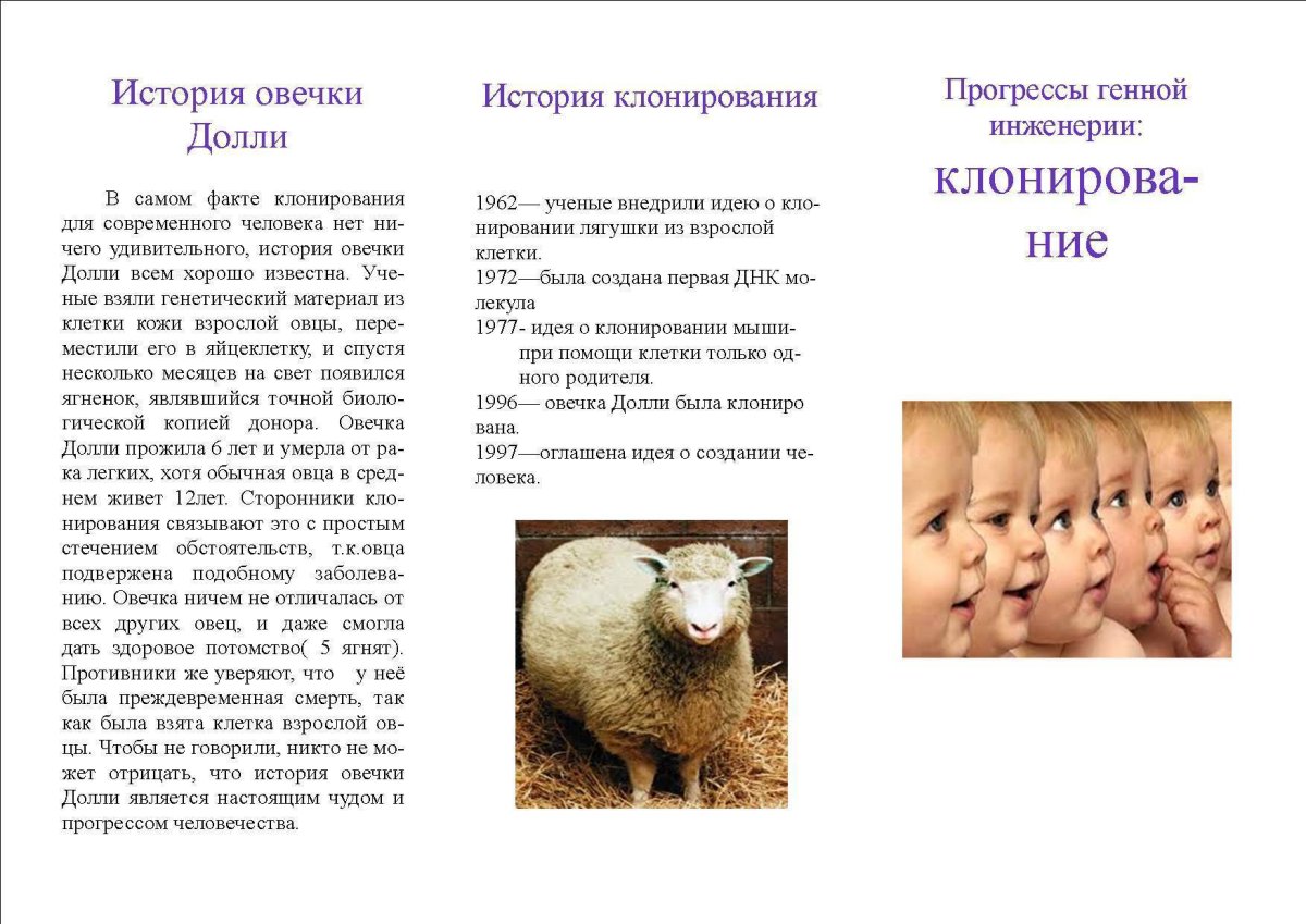 Овечка Долли