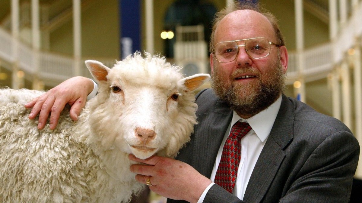 Овечка Долли клонирование