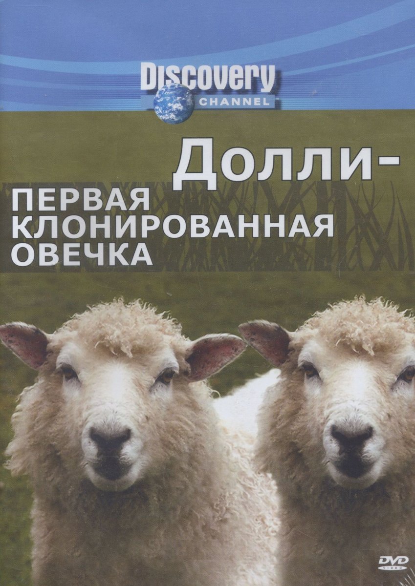 Гибридизация клеток клеточная инженерия