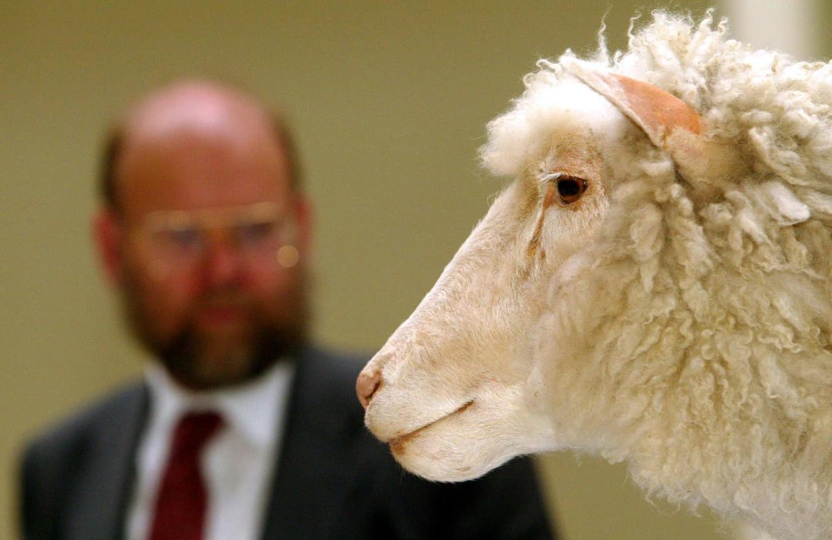 Клонированная Овечка Долли