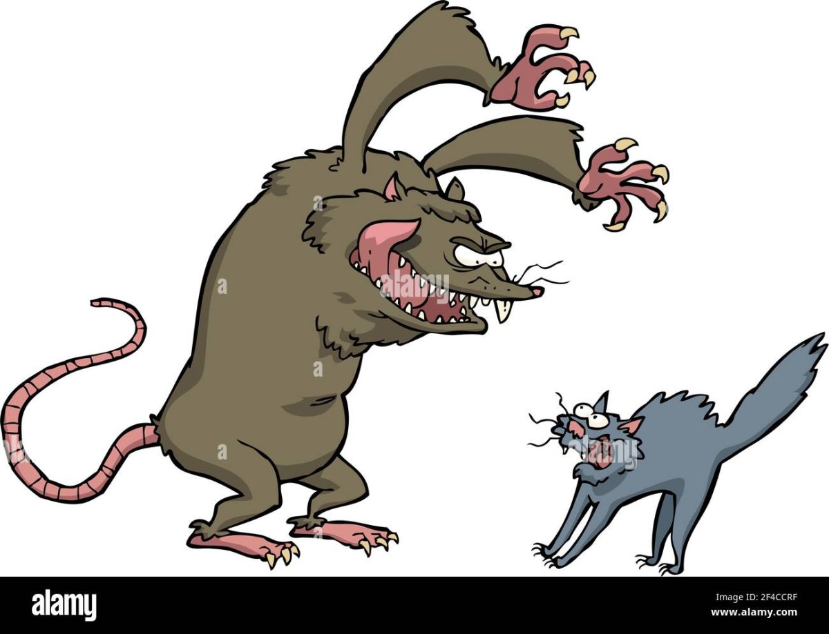 Крыса прыгает