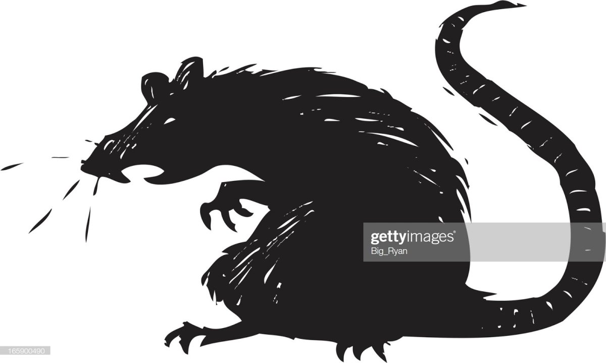 Крысы мультяшные страшные