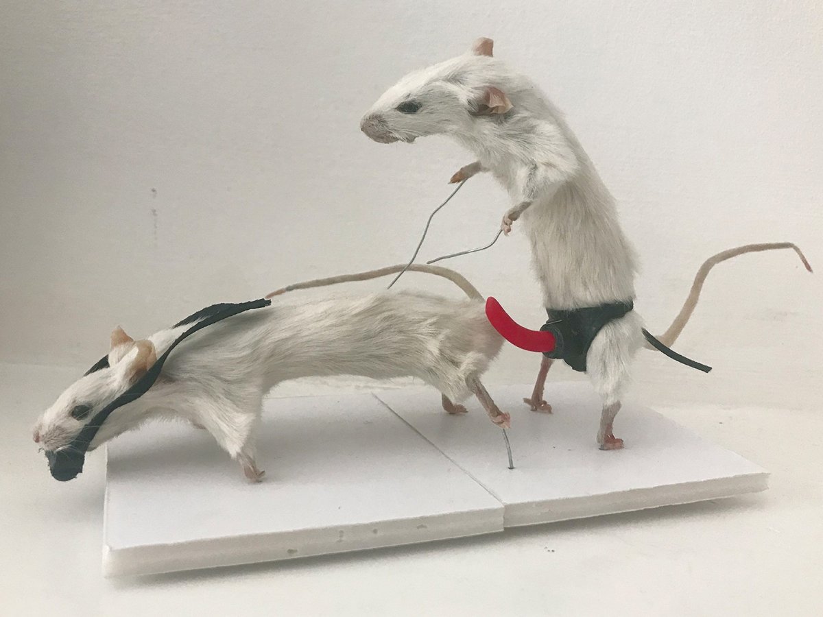 Крыса с автоматом