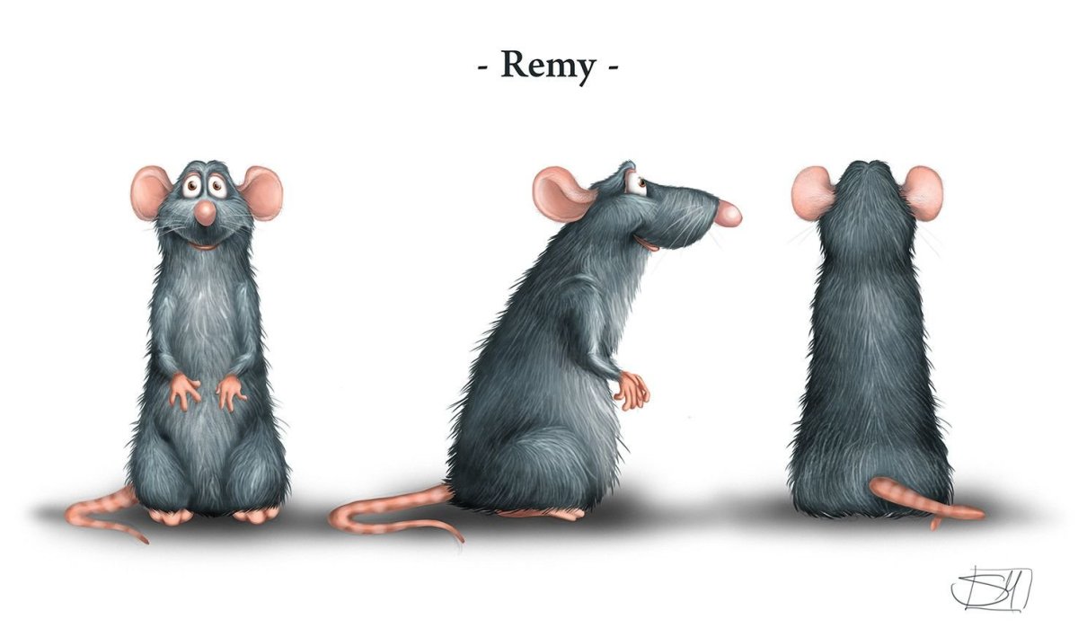 МАГАВА крыса гигантская