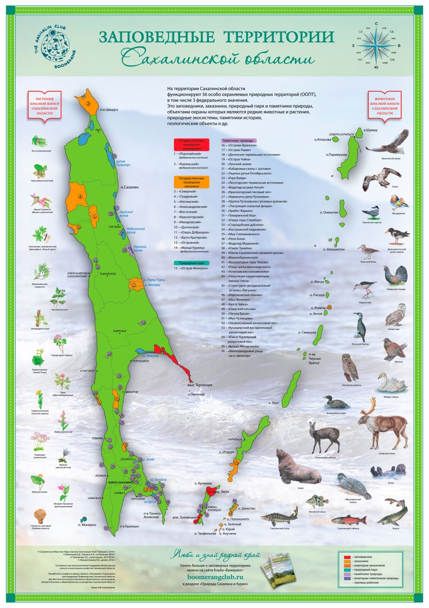 Курильское озеро Камчатка